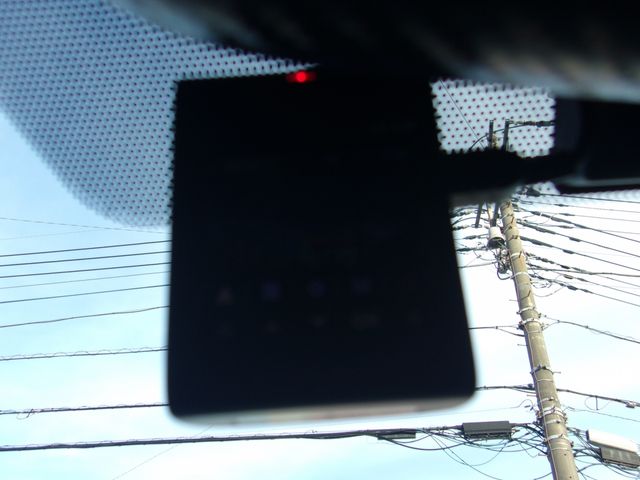 24520098