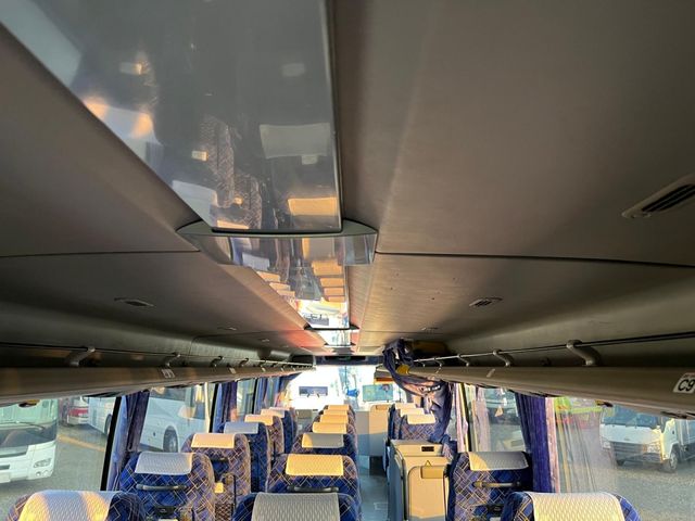 24550009