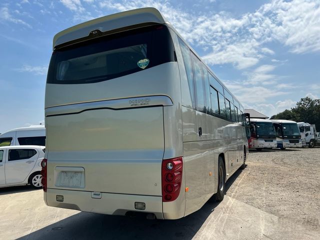 24550119