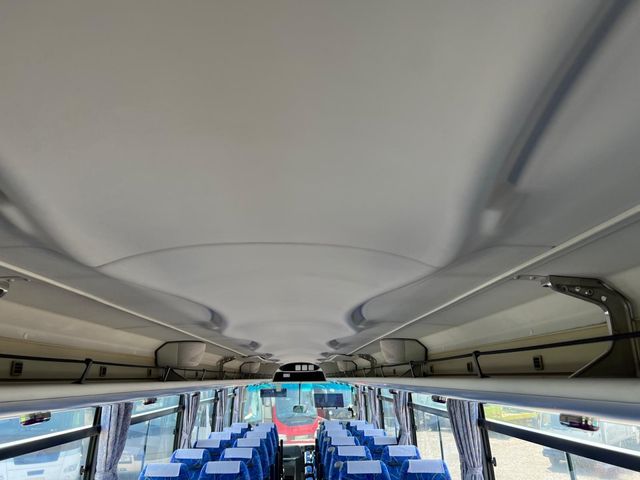 24550119