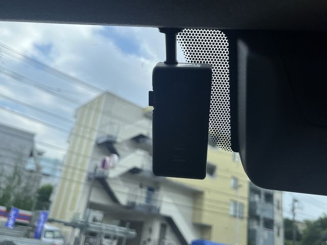 24550282
