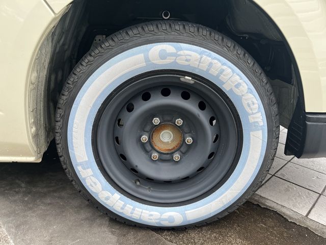 24550282
