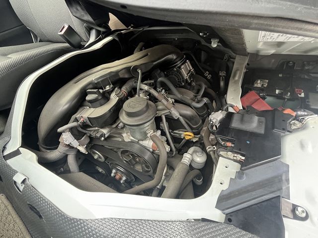 24550282
