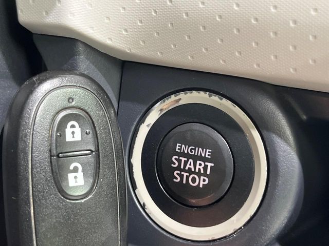 24561259