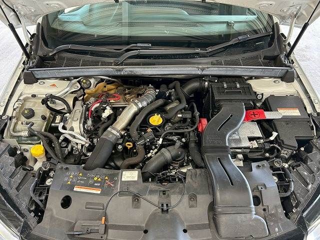 24561323