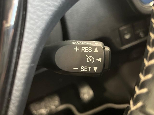 24561877