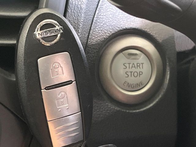 24561888