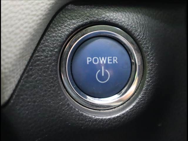 24565014
