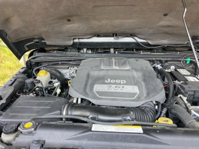 24565489