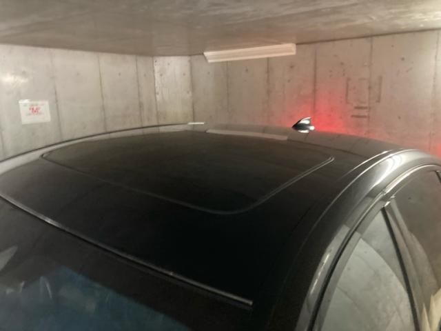 24565516