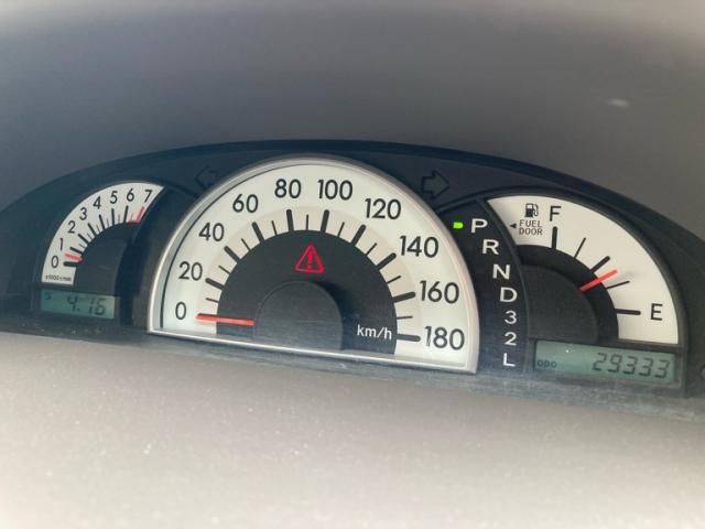 24565540