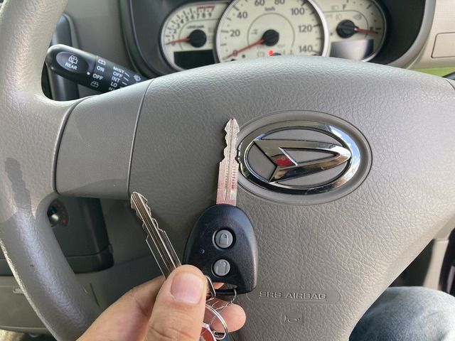 24565631