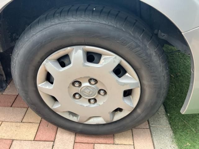24565858