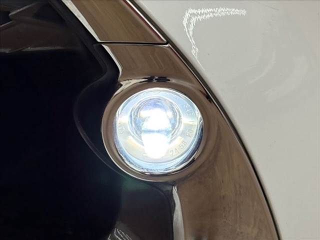 24566279