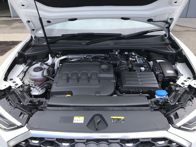 24650031