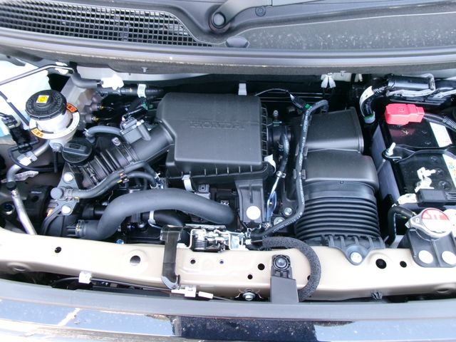 24650033