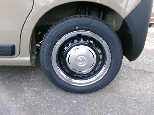 24650033