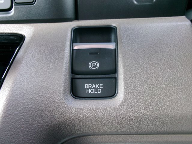 24650033