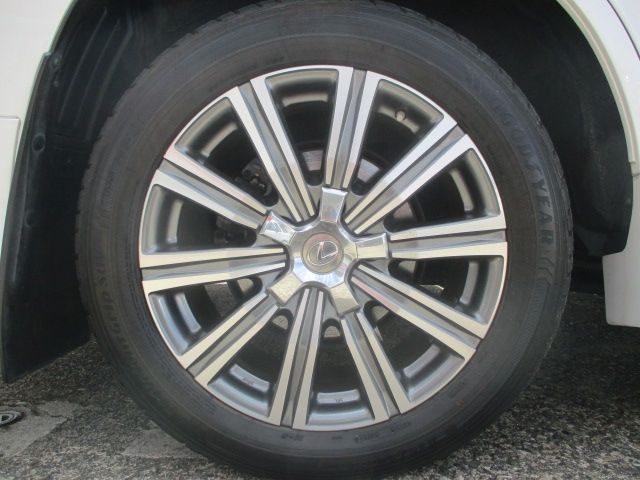 24650244