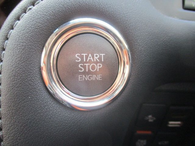 24650244