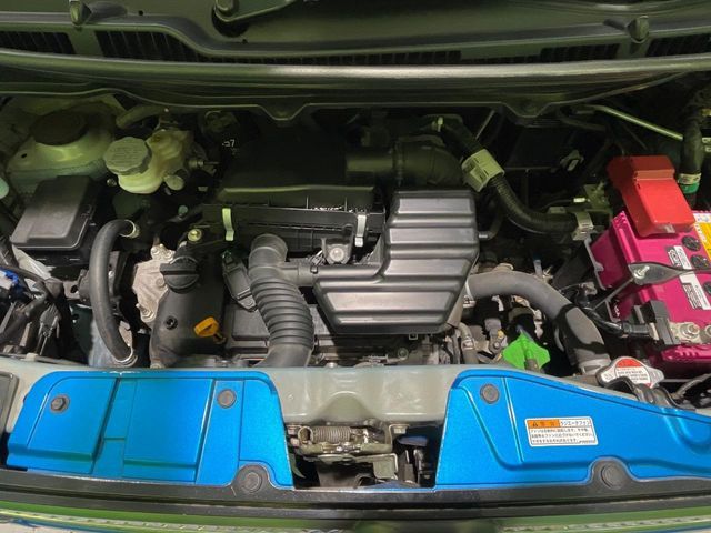 24661244