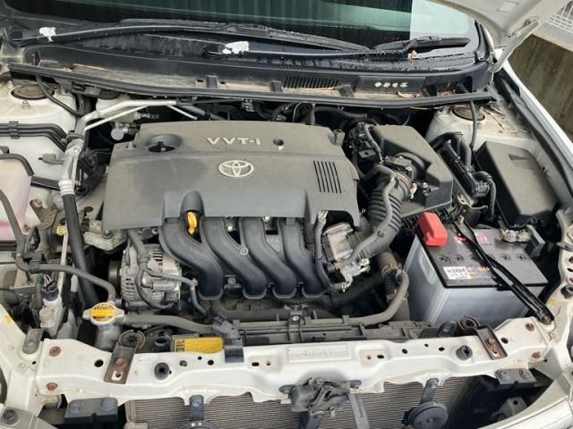24665473
