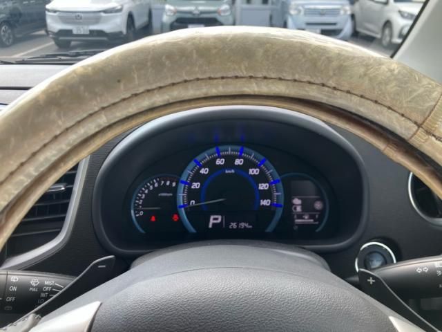24665521