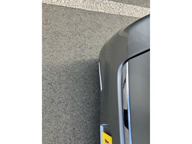 24665521