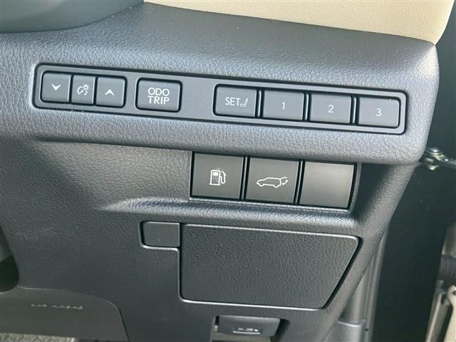 24666051