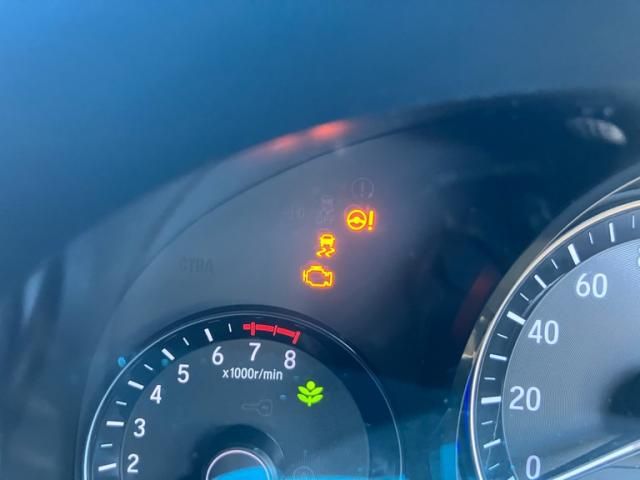 24666155