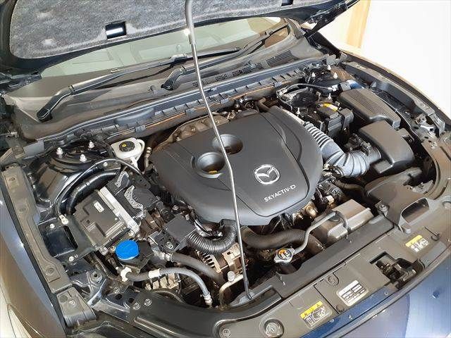 24666328