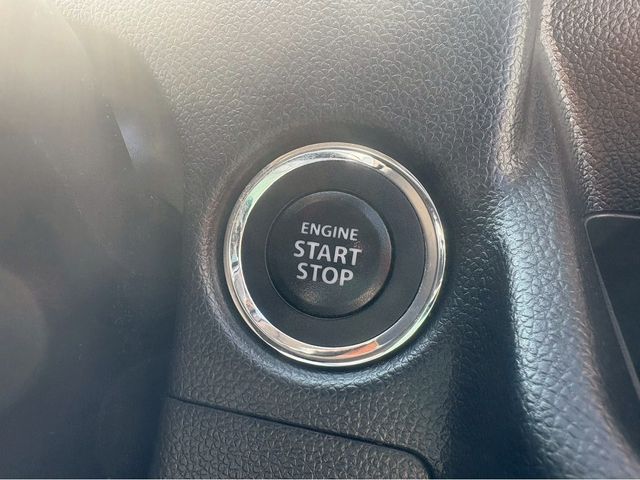 24750294