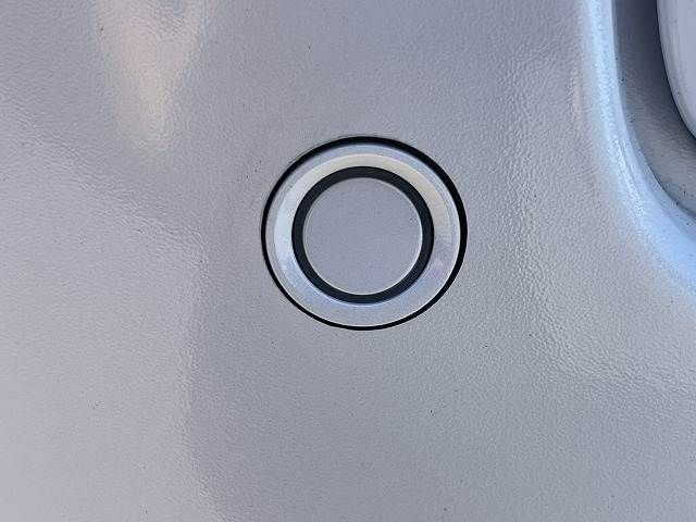 24762205