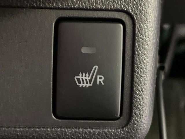 24766219