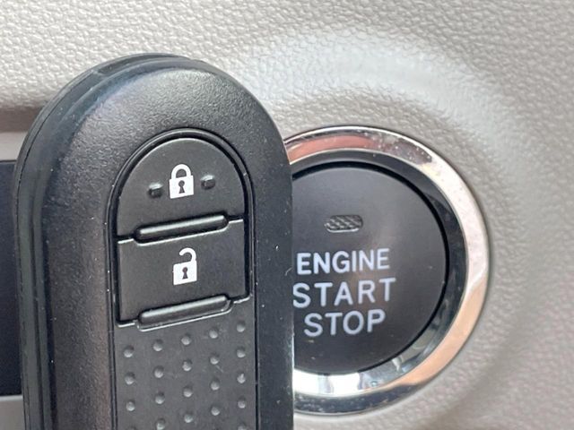 24766337
