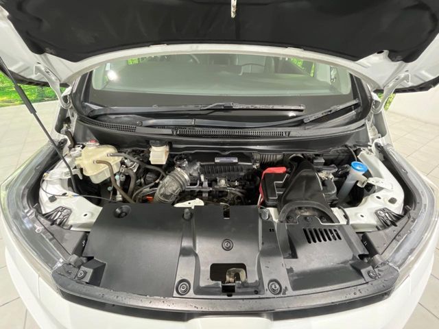 24766382