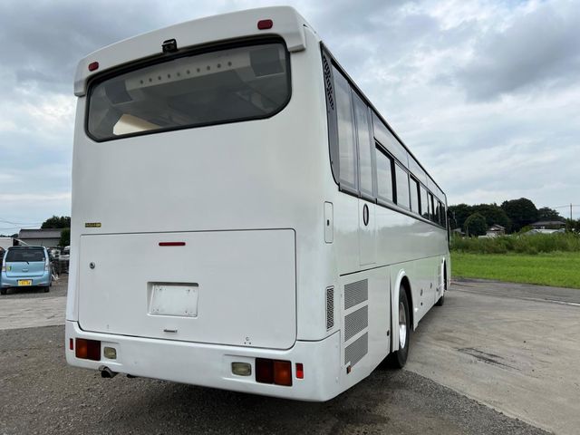 24850012