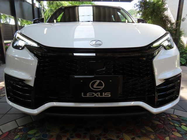 24850030
