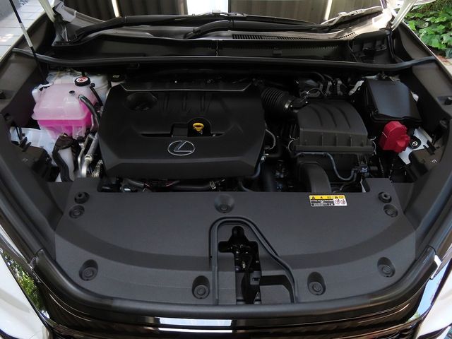 24850030
