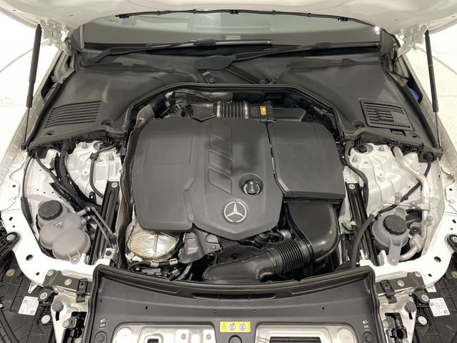 24850042