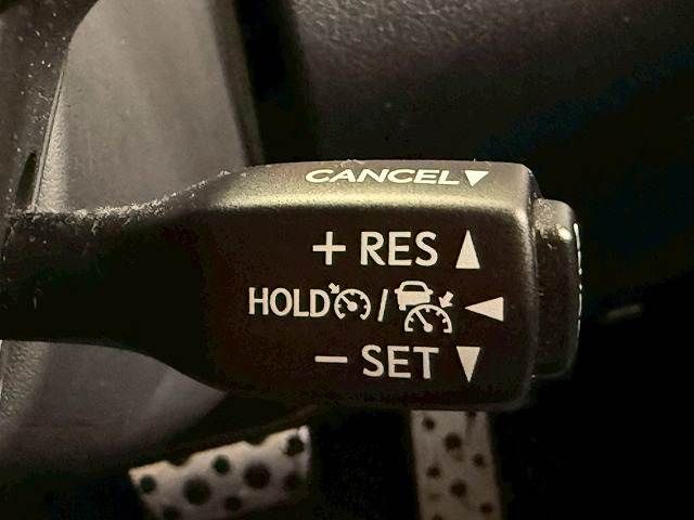 24861076
