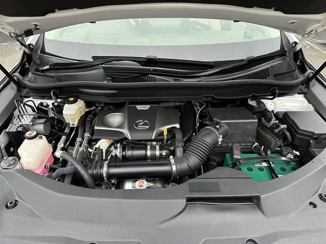 24862620
