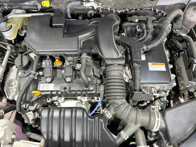 24867023