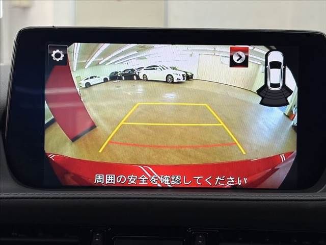 24867444
