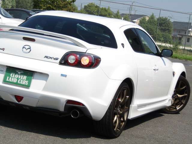 24900061