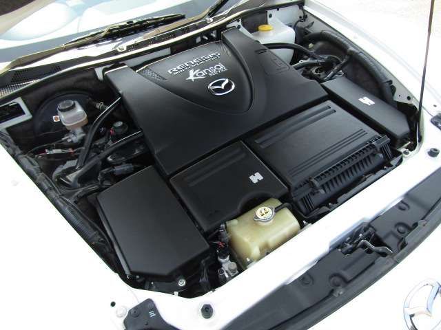 24900061