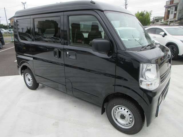 24900206