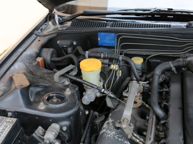 24950124