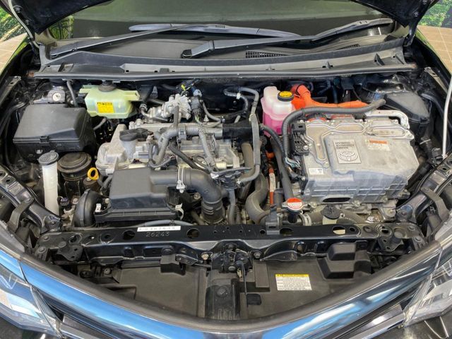 24960456