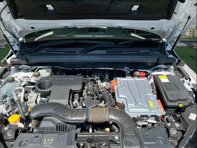 24960546